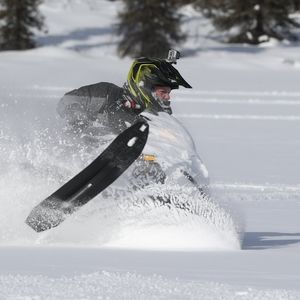 Meet your Posher, Jackson